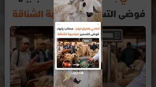 أضاحي بالكيلوغرام بدل التقدير الشخصي.. مطالب بإنهاء فوضى التسعير لمواجهة الشناقة thumbnail