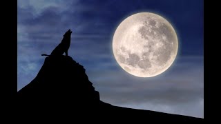 חצות לילה - סוד תיקון חצות בנפש האדם▪️ הרב נחמנסון ▪️ (כ' תמוז תשפ"ה. ממעל ממש)*** (הרב יהודה לייב נחמנסון) - התמונה מוצגת ישירות מתוך אתר האינטרנט יוטיוב. זכויות היוצרים בתמונה שייכות ליוצרה. קישור קרדיט למקור התוכן נמצא בתוך דף הסרטון