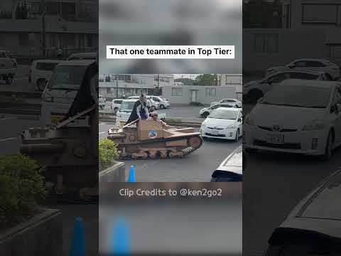 L3/33 in Real Life...