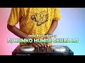 Download Lagu DJ INDIA VIRAL  Humko Humise Chura Lo Alva Kenzo Remix Mp3 Free
