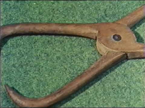 NOVA: The Great Violin Mystery (1981) | Unlocking the Secrets of Stradivarius 🎻🔬