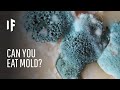 What Happens If You Eat Mold?