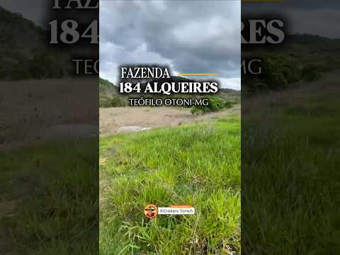 FAZENDA 184 ALQUEIRES TEÓFILO OTONI-MG R$ 9.2 MILHÕES #fazenda #minasgerais #brasil #pecuarista