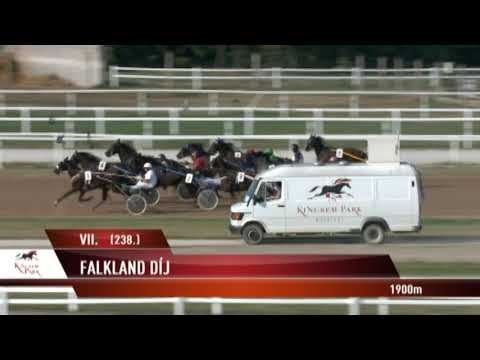 Lósport: Galopp-és ügető futamok