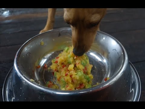 Potato Salad for Dogs - What do you reckon Zach Danger Brown?