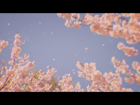 Nacht da Christus unser Licht(2)