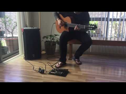 7 STRING ACOUSTIC GUITAR (with Ditto Looper)- 