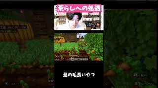 【マイクラマルチ】荒らしへの処遇について#Minecraft #マイクラ #マイクラマルチ #マイクラ参加型 #荒らし
