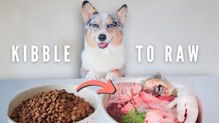 How To Switch Your Dog To A Raw Diet | The Ultimate Guide