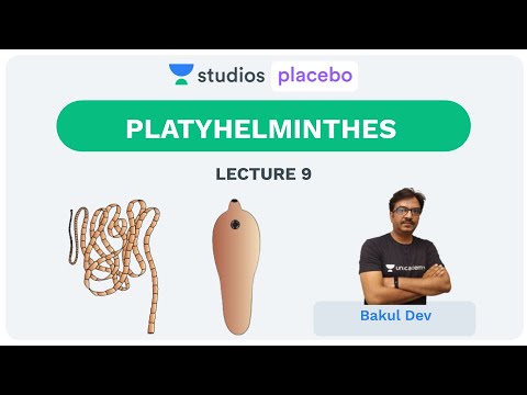 exemplare de specii de platyhelminthes