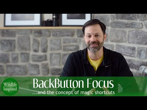Backbutton Focus and the Myth of the "Magic Button" in Wildlife Photography