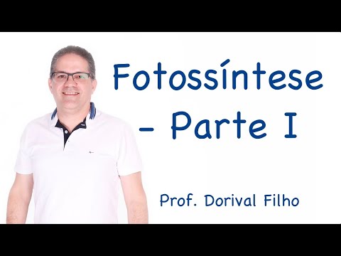 Photosynthesis - Part I