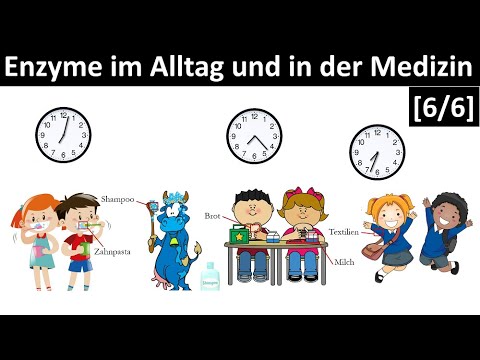 Enzyme im Alltag - [Medizin, Biotechnologie, usw.] - [6/6] - [Biologie, Oberstufe]