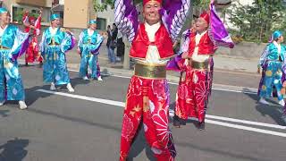 踊り陣叶和　銭形よさこいで