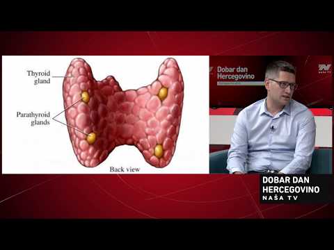 NAŠA TV | ŠTITNJAČA - MALA ŽLIJEZDA ZA VELIKE ZADATKE