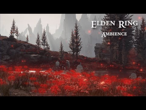 Charo's Hidden Grave | Elden Ring: Shadow of the Erdtree Relaxing Music Mix/Ambience (1 hour)