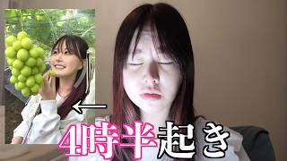 【雑談メイク】山梨のシャインマスカットを食う
