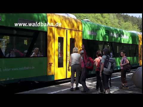Mit der waldbahn durch Bayerisch Kanada