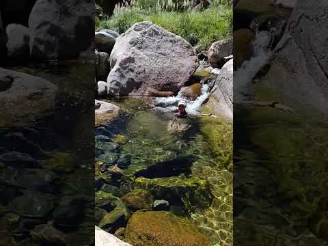 arroyo papagayos #argentina #sanluis #nature #rios