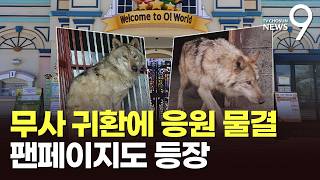 위 속엔 낚싯바늘…수술 마친 늑구, 복귀 소식에 응원 물결 [뉴스9]