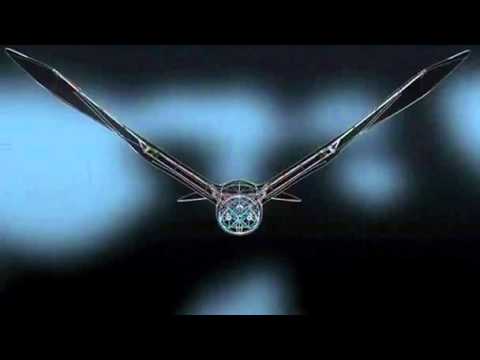 Robotic Bird Takes Flight The Menawa Report Robotic Bird Takes Flight The Menawa Report