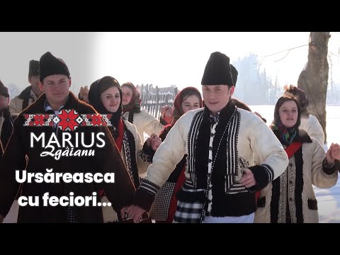 Marius Zgâianu - Ursăreasca cu feciori...