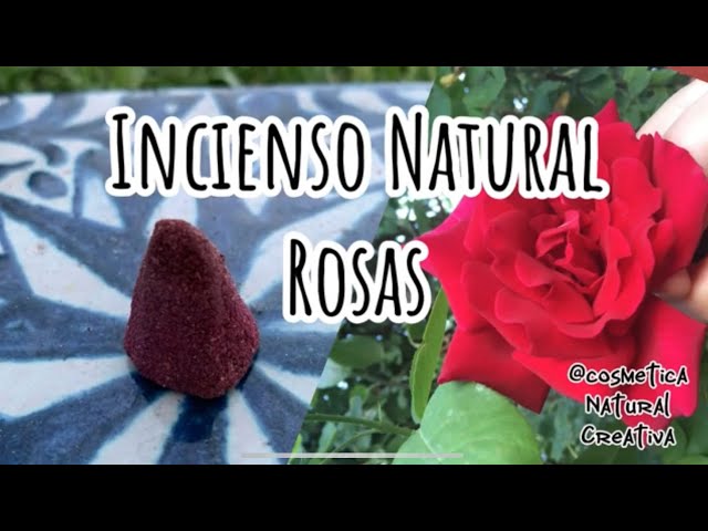 Vídeo relacionado con Sandal Rose - Varillas de incienso naturales, para meditación (más de 40 varitas), sin carbón, hechas de flores recicladas, incienso de sándalo dulce para calmar (Incienso de Rosas)