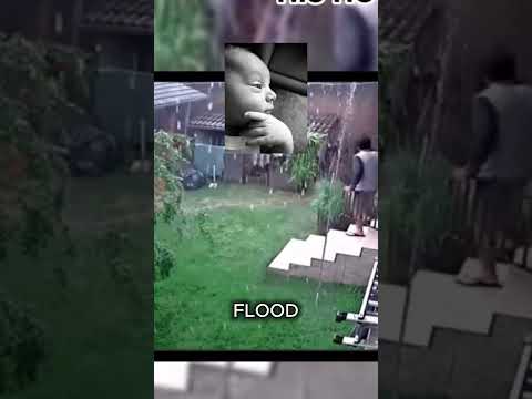 HOW DID HE SURVIVE THAT #shorts #memes