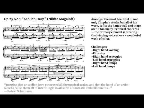 Every Chopin Etude in Order of Difficulty