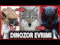 Fenrisülfr Evrimi | PLAY AS DINO | ARK Survival Evolved Türkçe