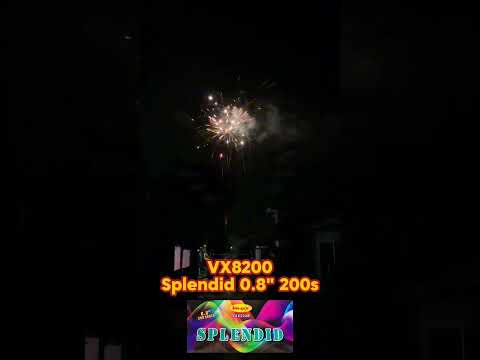 SPLENDID 200 SHOT 0,8