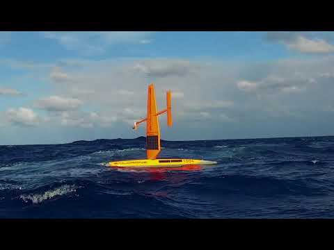 Saildrone - White Shark Café - FK180420
