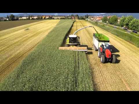 DOMAI MPD 611 - CLAAS 980 - Barra taglio diretto Triticale (2)