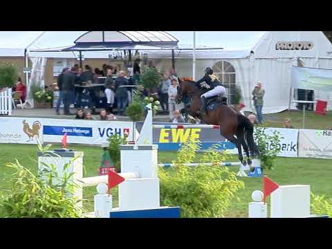 Holsteiner Verbandshengste | Turnierimpression - Uriko Dobrock 2019