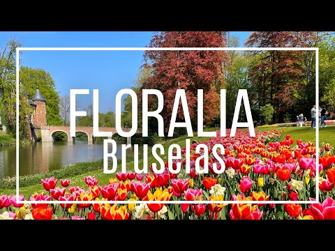 Video of the flower exhibition 'Floralia Brussels' in Belgium