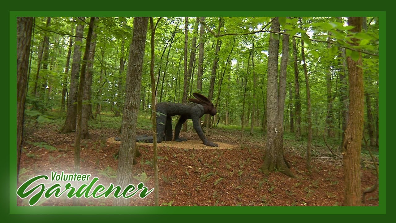 Ann & Monroe Carell Jr. Family Sculpture Trail | Volunteer Gardener