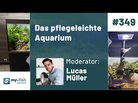 my-fish.org - Das pflegeleichte Aquarium - Wie geht das?