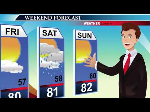 Introduction to the Rules of Evidence: Module 1 of 6