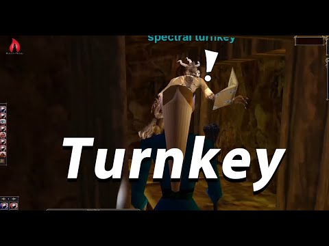 P99 Everquest - Enchanter Solo- Karnor, Turnkey