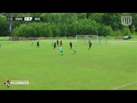 Skrót: Plombier Sparta Osobnica 2:1 Orzeł Faliszówka / 09.06.2024