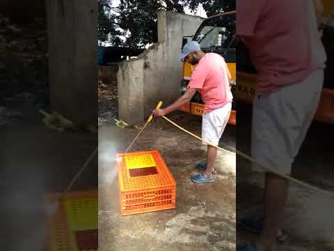 Blue chicken transport box