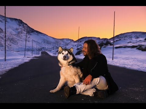 WhileWild - Somebody Say (Official Music Video) 4K