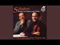 Sonata in D major (Op.137 , No.1) ; D.384: II. Andante