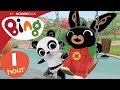 10x Episodes 60 Mins Full Episodes Compilation Bing English