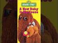 My Sesame Street Home Video A New Baby In My House Sony Wonder Print