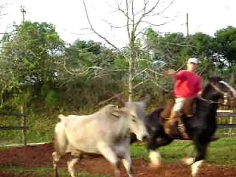 Ernani Crippa e Sendero Canteado