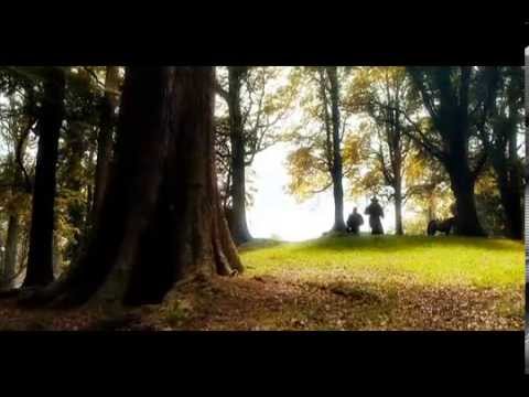 Male Beheth Hoya Hith niwanna Sinhale - Saman Lenin - (Rumassala Sinhaya)