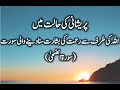 This Surah Will Release Your Stress Surah Ad Dhuha