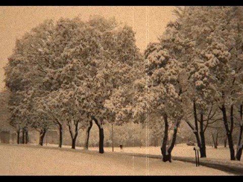 Marc Almond & Boris Grebenshikov - Nuit De Noel (Zliye Dukhi)