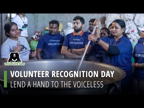 Make A Difference For The Voiceless On This Volunteer Recognition Day!